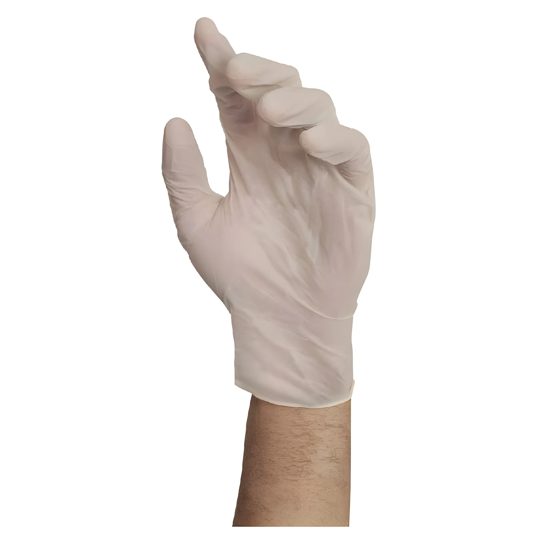 Stellar Latex Exam Gloves- Powder Free, X Large - 1000/Case - Image 3